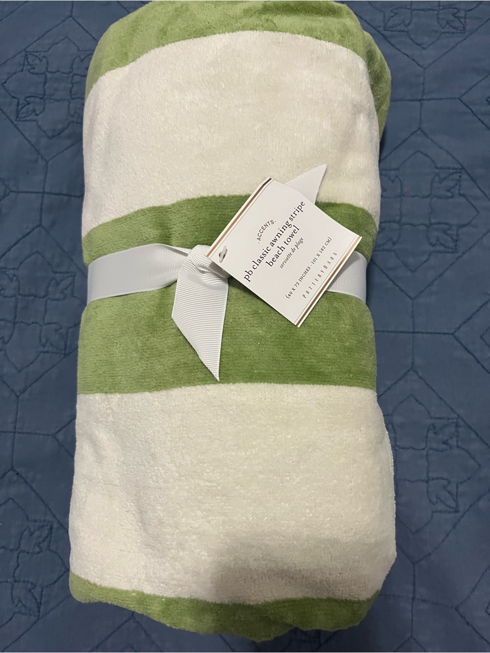 Pottery Barn beach towel
